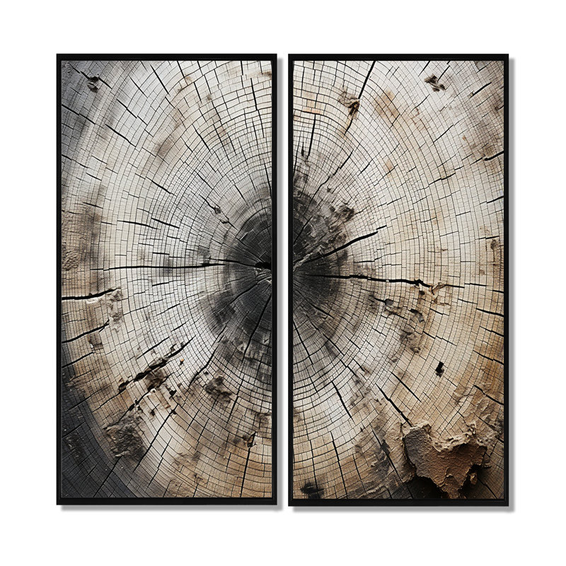 «Tree Cut Stump Beauty», art mural sur toile traditionnel, H 40 po x l 40 po, Noir, Impression encadrée flottante