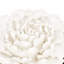 Fleur décorative faite à la main en céramique crème pour mur - Chic Element Beauty