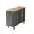 Anthoula Metal Accent Cabinet
