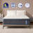 Lechepus 14Inch Plush Memory Foam Innerspring Mattress-87748357