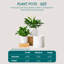 FLHPOT Ceramic Pot Planter-1957853583