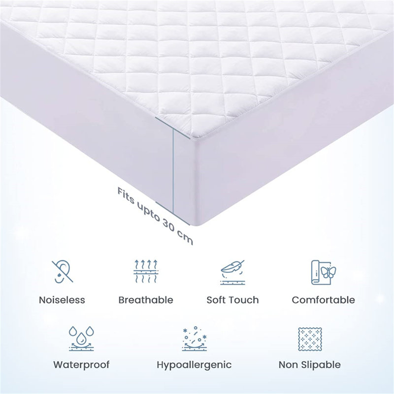 Olavarria Mattress Protector Case Pack
