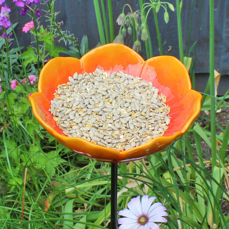 Mangeoire d'oiseaux sauvages Wild Poppy