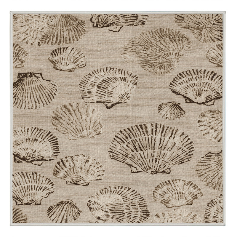 Washable Shell Impressions Coastal Area Rug, Square 6'