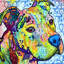 «Thoughtful Pit Bull This Years I», impression sur toile tendue-74873540-15878624