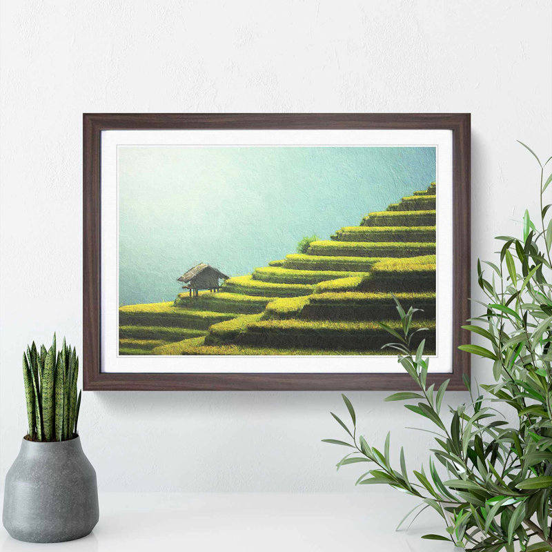 Rice Plantation in Cambodia - Picture Frame Painting Print, 27cm H x 36cm W x 2cm D, Walnut Framed