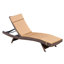 Ensemble de chaises longues inclinables 79,25 po avec coussin-1908472301-1959038902-1959038908