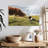 Brampt Border Collie And Cow-107707387