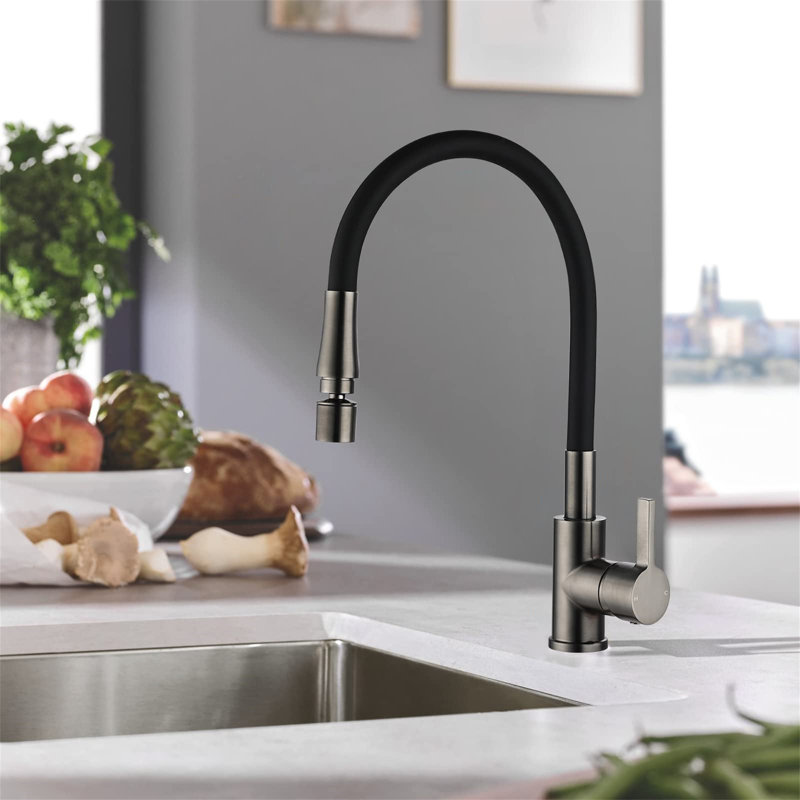 Latitude Run Azula Kitchen Faucet