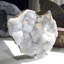 Cristal Casheena