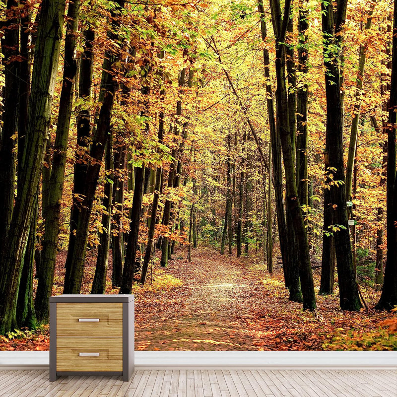 Sunshine Trail In Autumn Tree Park, 66" L x 96" W