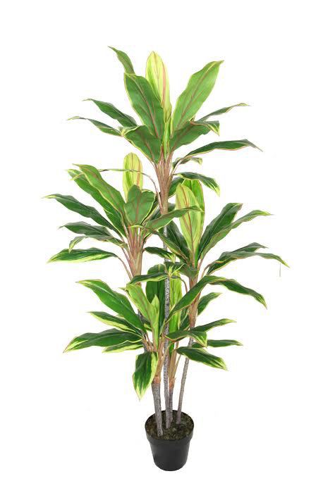 Plante artificielle 55 po Dracaena