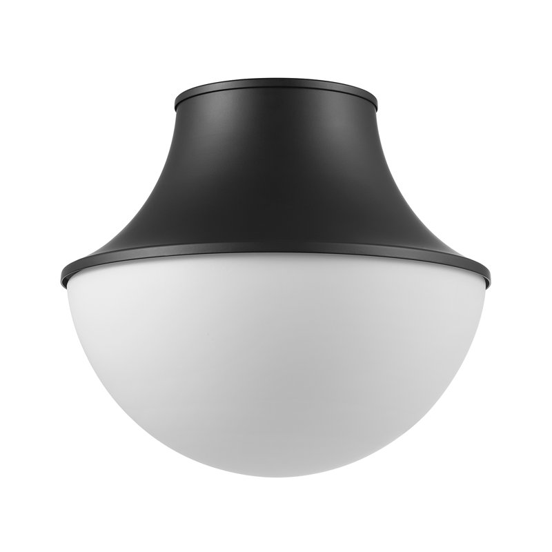 1-Light Matte Black Flush Mount Ceiling Light with Frosted Glass Shade