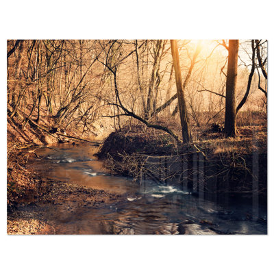 " Brown Creek In National Park "