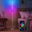 66.14" RGBCW Metal Wire Floor Lamp Smart Lamp With Touch Switch And Remote Control-118033349
