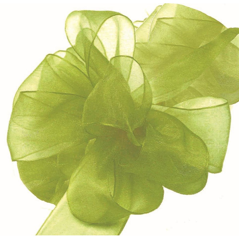 Ruban tropical tropical, Vert, H 2 po x l 6 po x P 6 po
