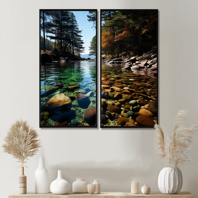 Forest Acadia National Park II - Beige Traditional Wall Art