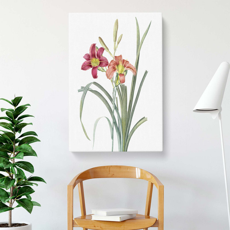 Day Lilies by Pierre-Joseph Redoute - Wrapped Canvas, 61 cm H x 40.6 cm W