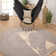 Round Paxtonia Cotton Shag Area Rug