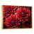 Gold Floater Framed
