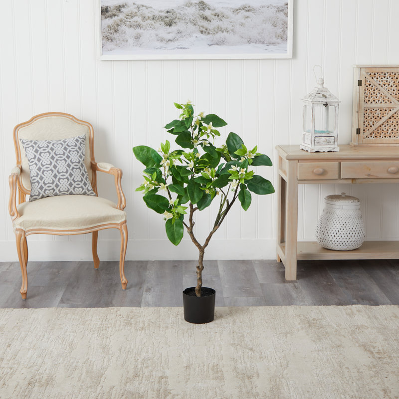 48'' Faux Grapefruit Tree in Pot