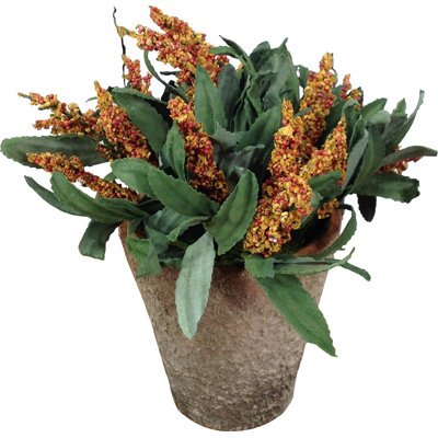 Arrangement in Pot