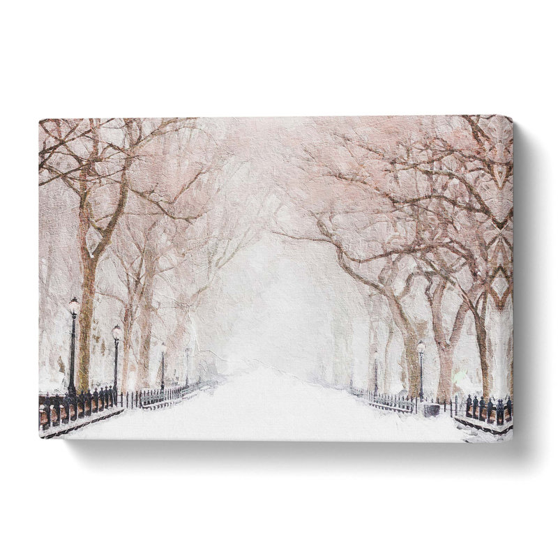 Wintertime in Central Park New York City - Wrapped Canvas, 50.8 cm H x 76.2 cm W