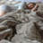 Me Sooo Comfy Coma Inducer Oversized Comforter Set-66047877-66047881