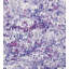 Waterfall Anantara Reef Fabric-24029950