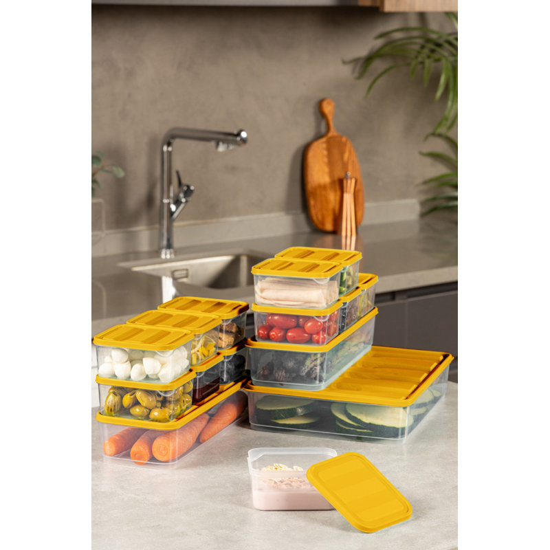 Ensemble de boîtes de rangement en plastique durable (13 pièces), orange | Comprend 2 x 4,3 x 11,8 x 2,8 po (1650 ml), 2 x 9,1 x 5,9 x 2,8 po (1750 ml), 6 x 3,5 x 4,1 x 2,2 po (350 ml), 3 x 9,1 x 11,6 x 2,6 po ml) | Va au lave-vaisselle, idéal pour organiser la maison et le bureau