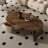 Simple leaf shape coffee table