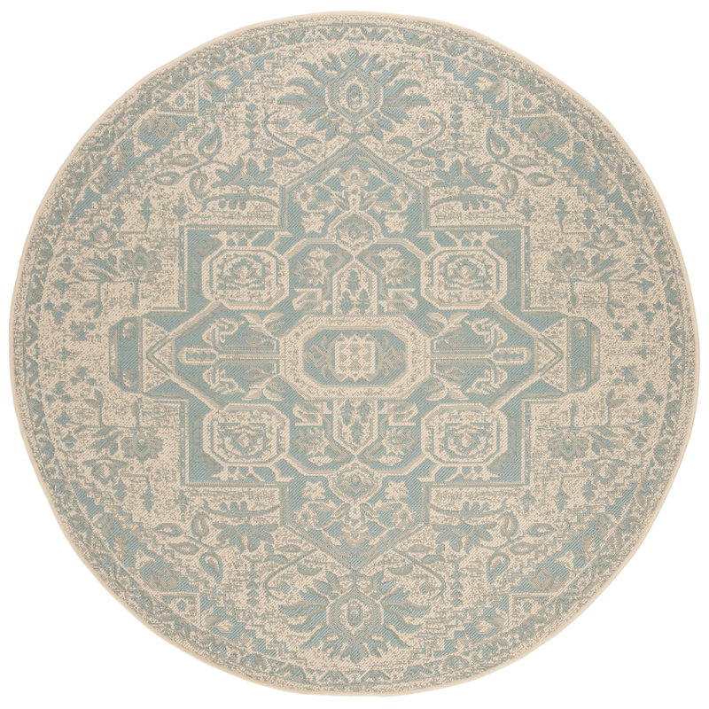 Danya Aqua/Cream Indoor/Outdoor Area Rug, Round 4'