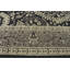 Performance Wool Oriental Indoor Rug