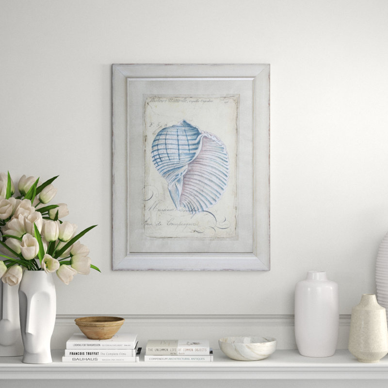 Shell Ephemera III Print by Zarris