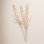 Mixed Assortment Stems