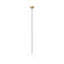 Jussica 1 - Light Pendant-848904178-848904175