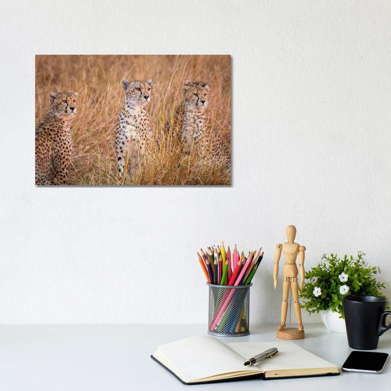Cheetah Alpine Glow by Jeffrey C. Sink - Wrapped Canvas Gallery-Wrapped Canvas Giclée, 20.32cm H x 30.48cm W
