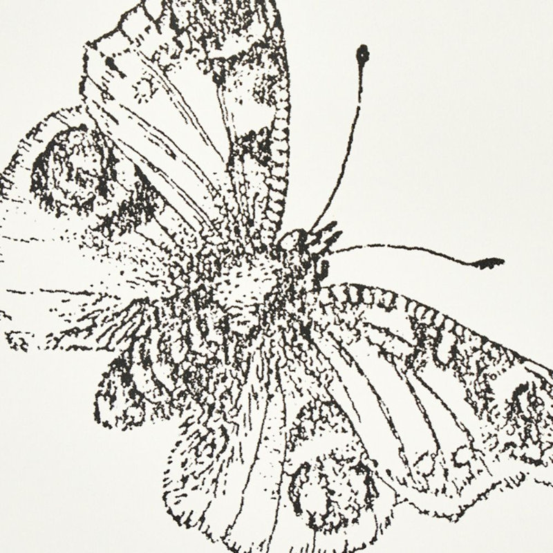 Papier peint Burnell Butterfly, Ivoire