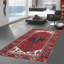 Oriental Area Rug