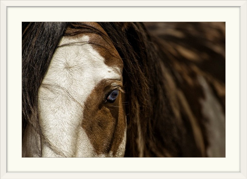 «Kemani» bleu, reproduction de photo, Cadre blanc, H 28 po x l 38 po x P 1 po