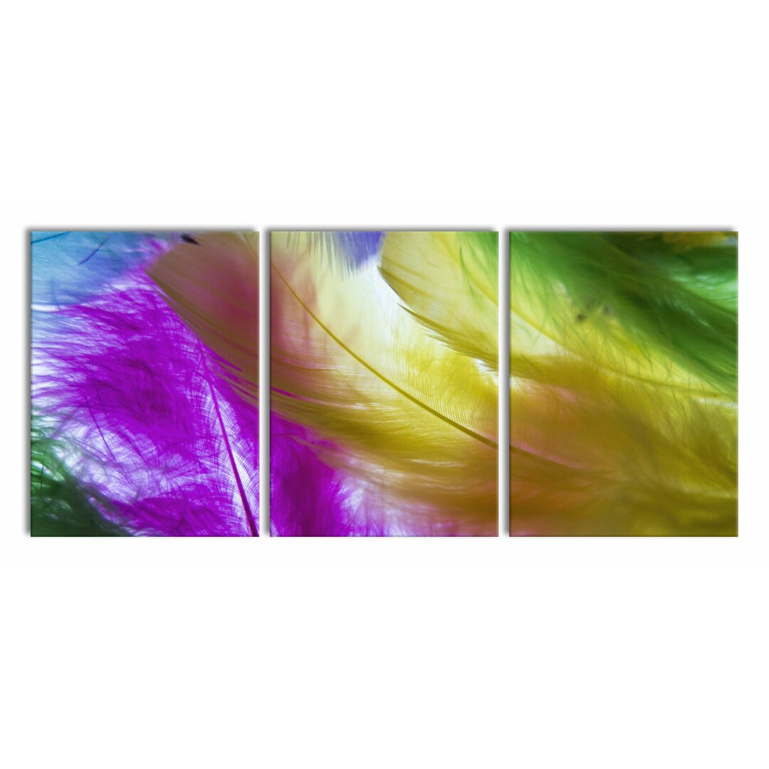 3-tlg. Leinwandbilder-Set Colourful Feathers