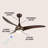Coleigh 52'' Ceiling Fan with LED Lights-2010980606