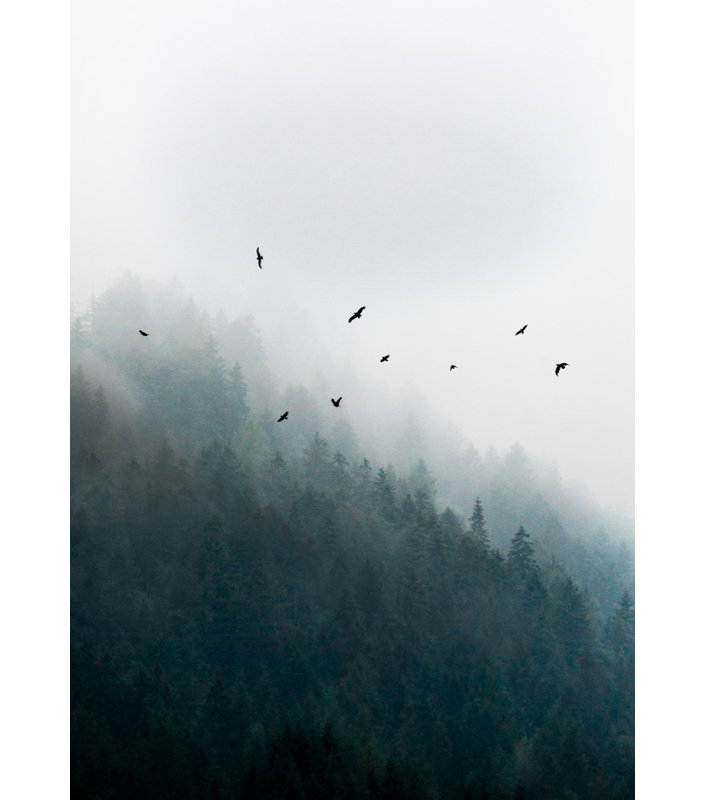 Wrapped Canvas Print, 81.28cm H x 121.92cm W