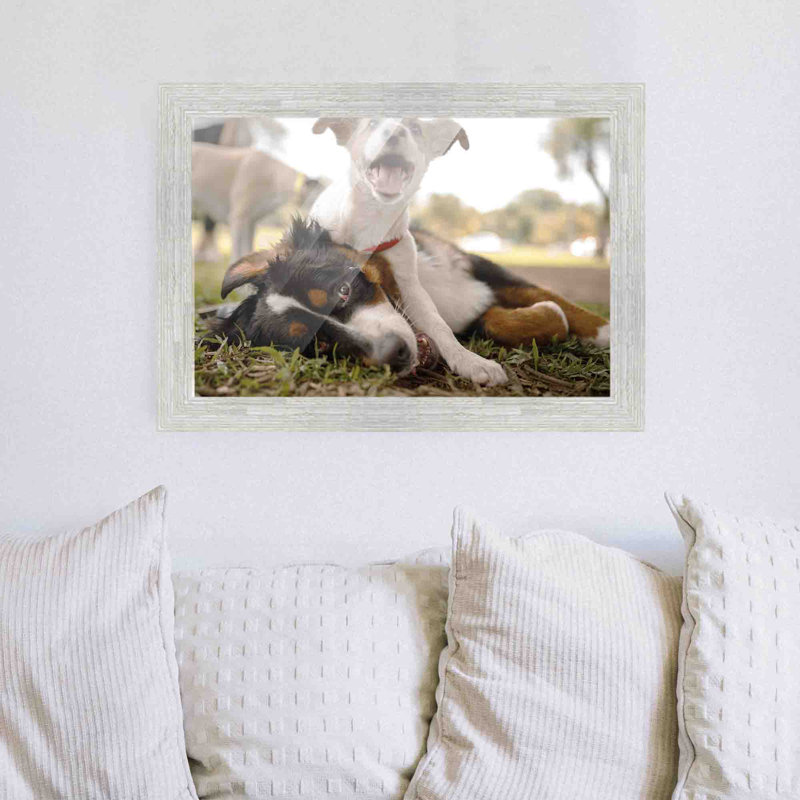 Cadre photo simple Barnwood, 24 po x 36 po, Blanc