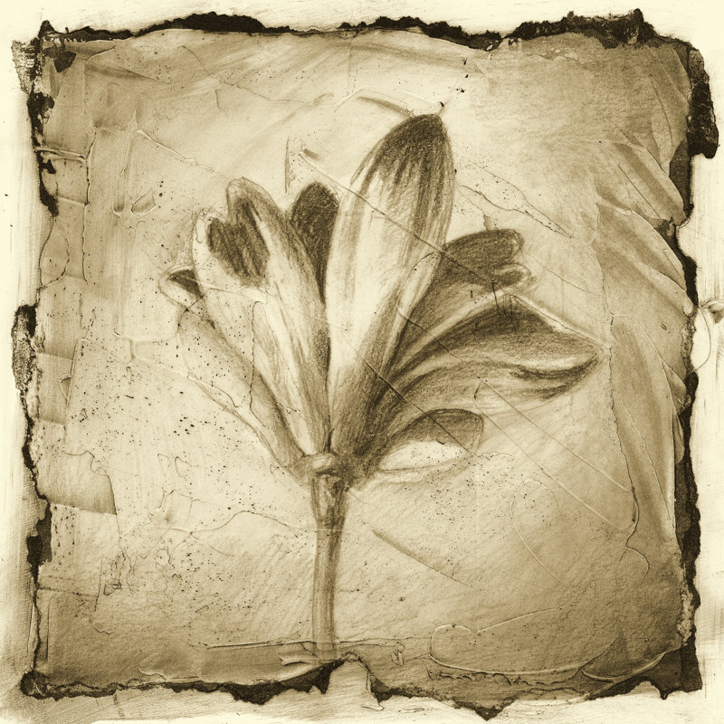 Floral Impression VII by Ethan Harper - Wrapped Canvas Print, 30cm H x 30cm W