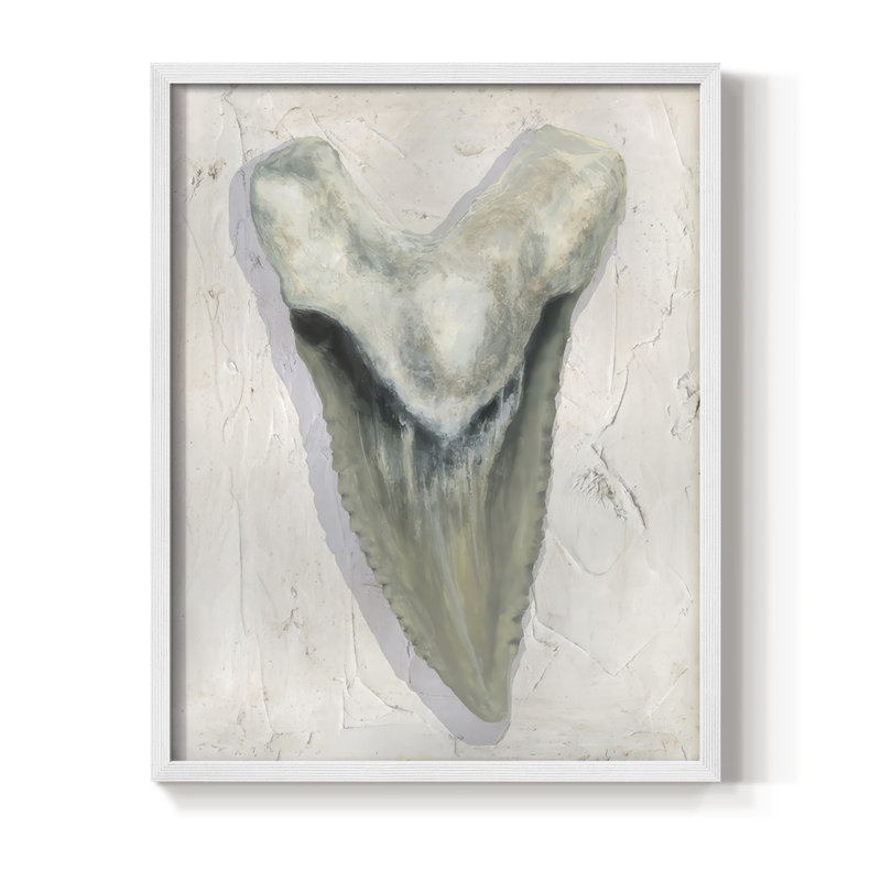 Watercolor Sharks Tooth II Framed Print - Solid Wood, White Framed, 15" H x 12" W