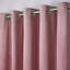 Montrose Eyelet Blackout Curtains-48406750-48406741