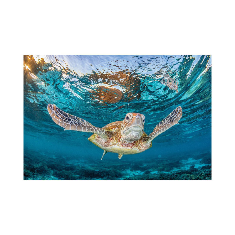 Fly With Me by Jordan Robins - Wrapped Canvas Print, 66.04 cm H x 45.72 cm W x 1.91 cm D