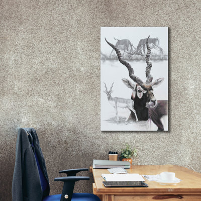 «Black Buck» par Barbara Keith