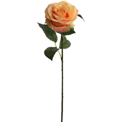 Tiges de roses subtiles